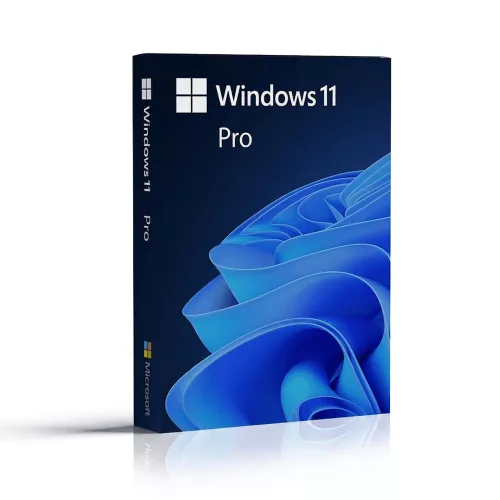 Microsoft Windows 11 Pro