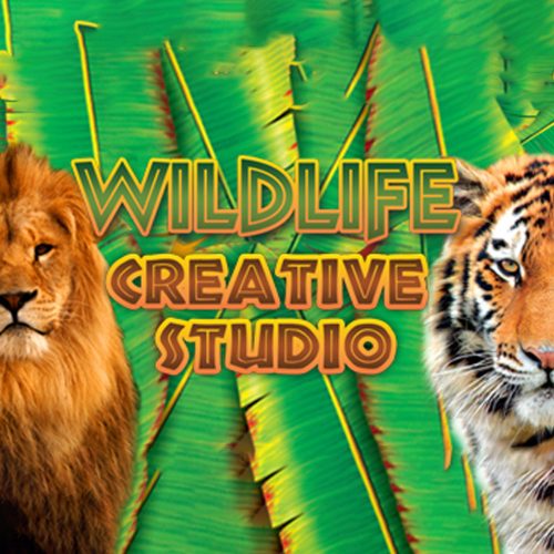 Wildlife Creative Studio (1 zařízení / Lifetime) (Steam)